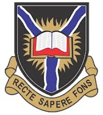 Logo 13